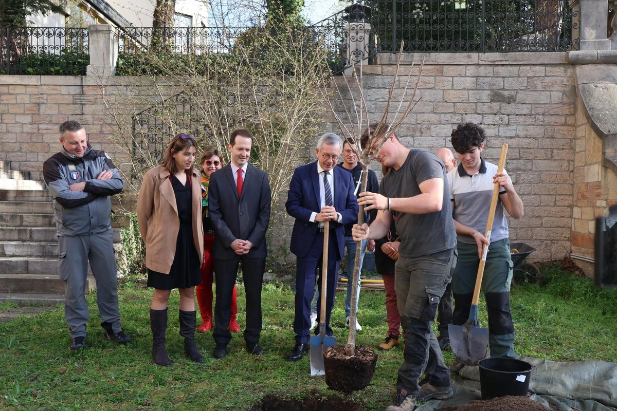 Plantation d un arbre fruitier à la Préfecture Lycée de l